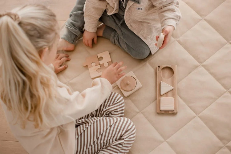 Promotional Toys